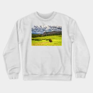 09551  Bison in Yellowstone Crewneck Sweatshirt